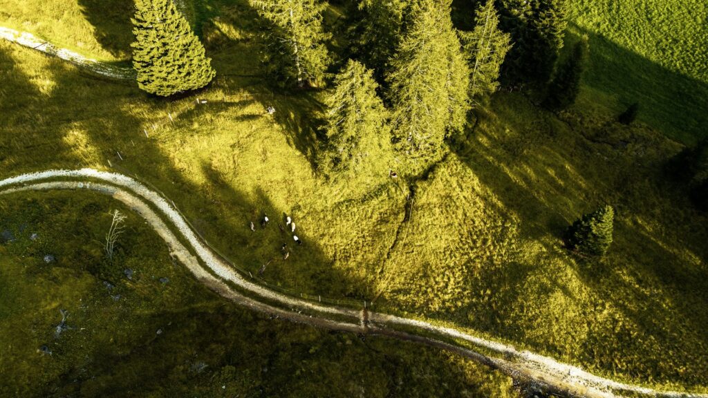 How 8K Camera Drones Are Changing the Game for Creators and Travelers 1 riccardo-pelati-oRjX_h75_gQ-unsplash