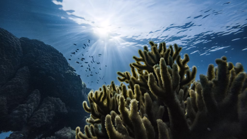 Snorkeling Might Be the Most Fun You Have This Summer 2 photo 1551244072 5d12893278ab Snorkeling Might Be the Most Fun You Have This Summer