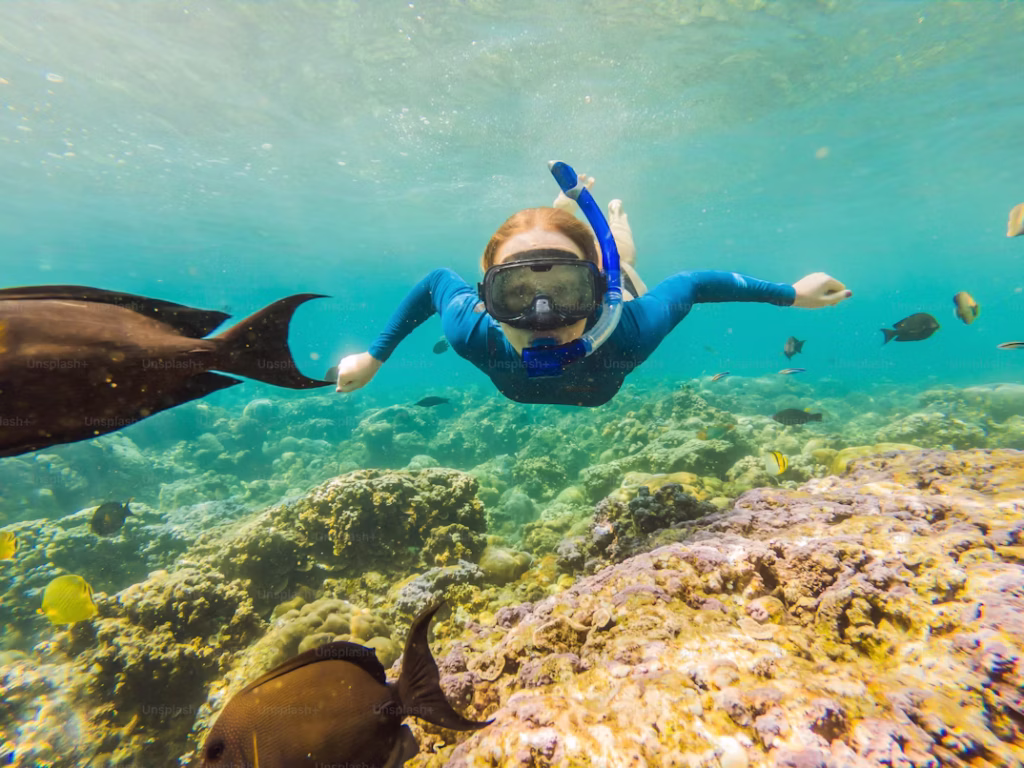 Snorkeling Might Be the Most Fun You Have This Summer 3 premium photo 1682091874987 687e0c1026b8 Snorkeling Might Be the Most Fun You Have This Summer