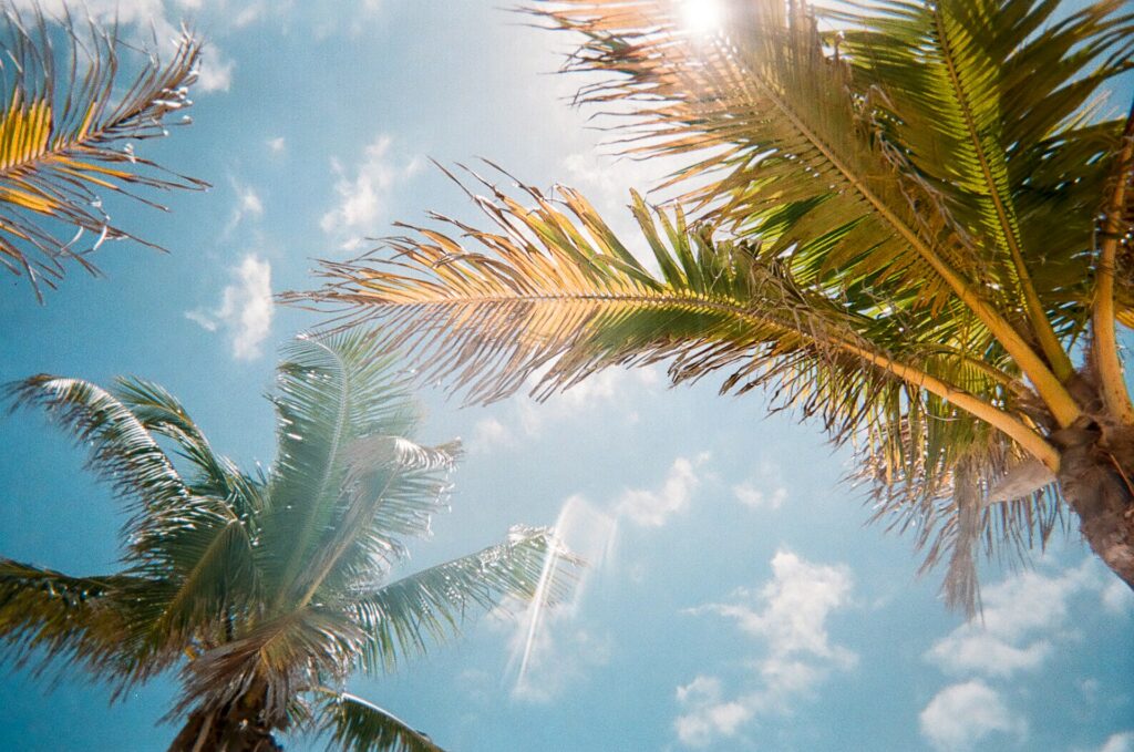 jorge vasconez CpeUoLVTAs8 unsplash How to Keep Your Pool Crystal Clear All Summer