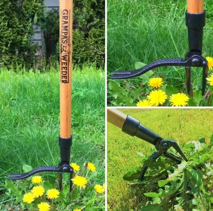 Yard Maintenance Tools That Make Outdoor Cleanup Easier 7 Yard Maintenance Tools That Make Outdoor Cleanup Easier