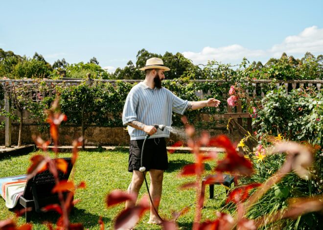Easy Outdoor Hobbies You Can Start in Your Own Backyard