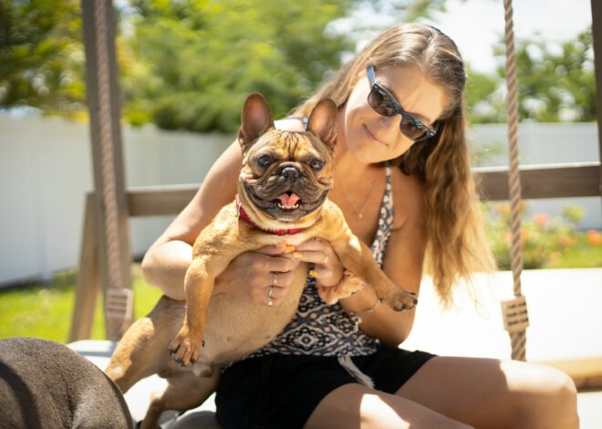 How to Make Your Backyard Safer for a Curious Dog