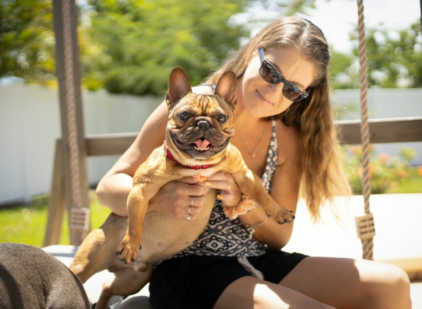 How to Make Your Backyard Safer for a Curious Dog