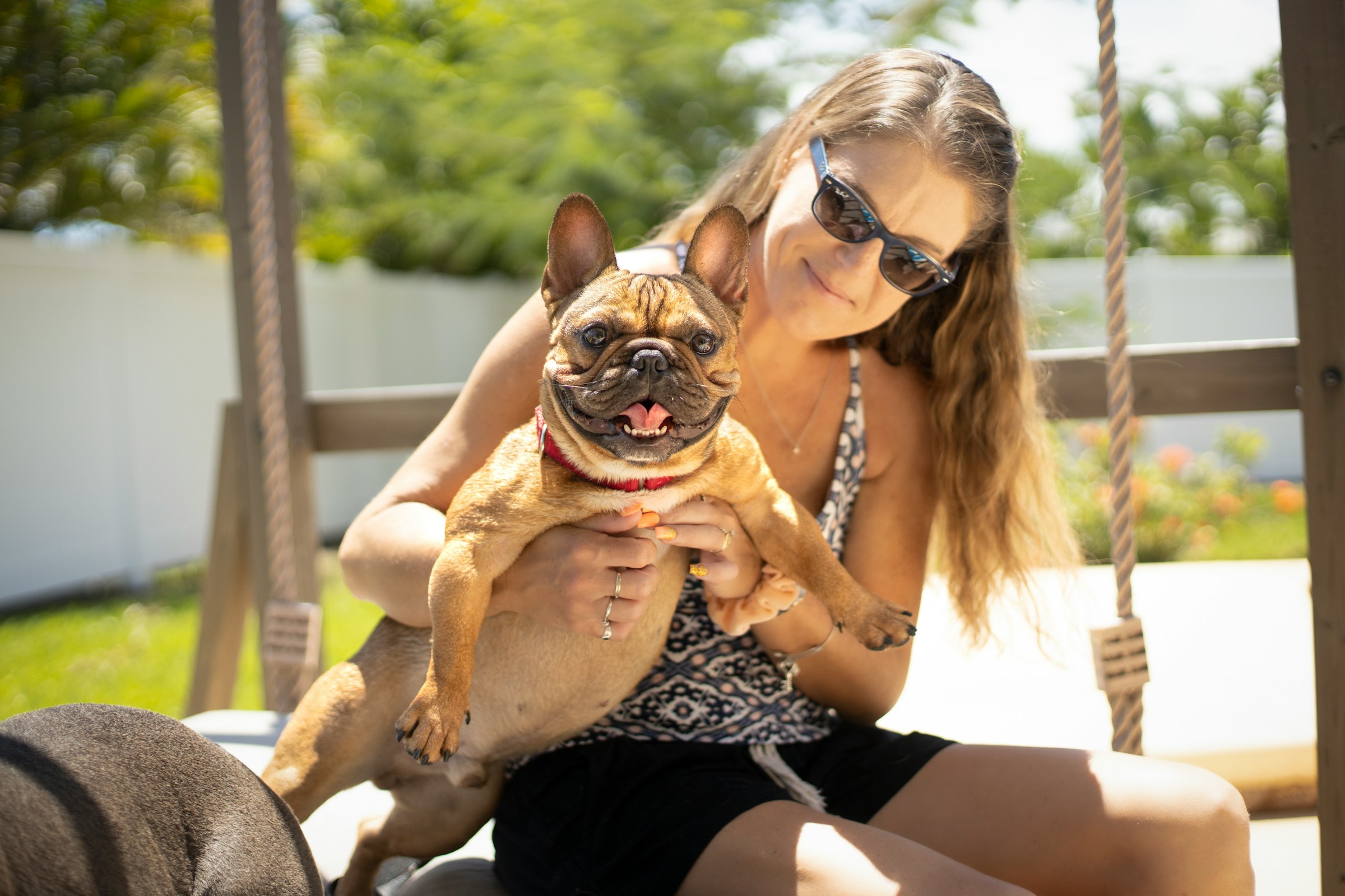 How to Make Your Backyard Safer for a Curious Dog