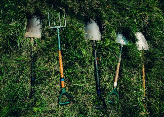Yard Maintenance Tools That Make Outdoor Cleanup Easier