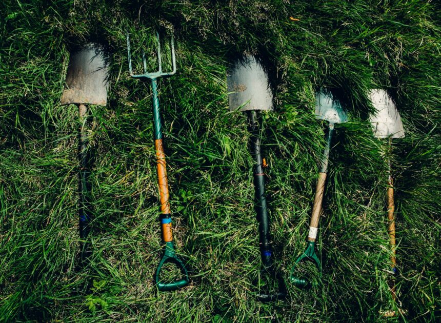Yard Maintenance Tools That Make Outdoor Cleanup Easier