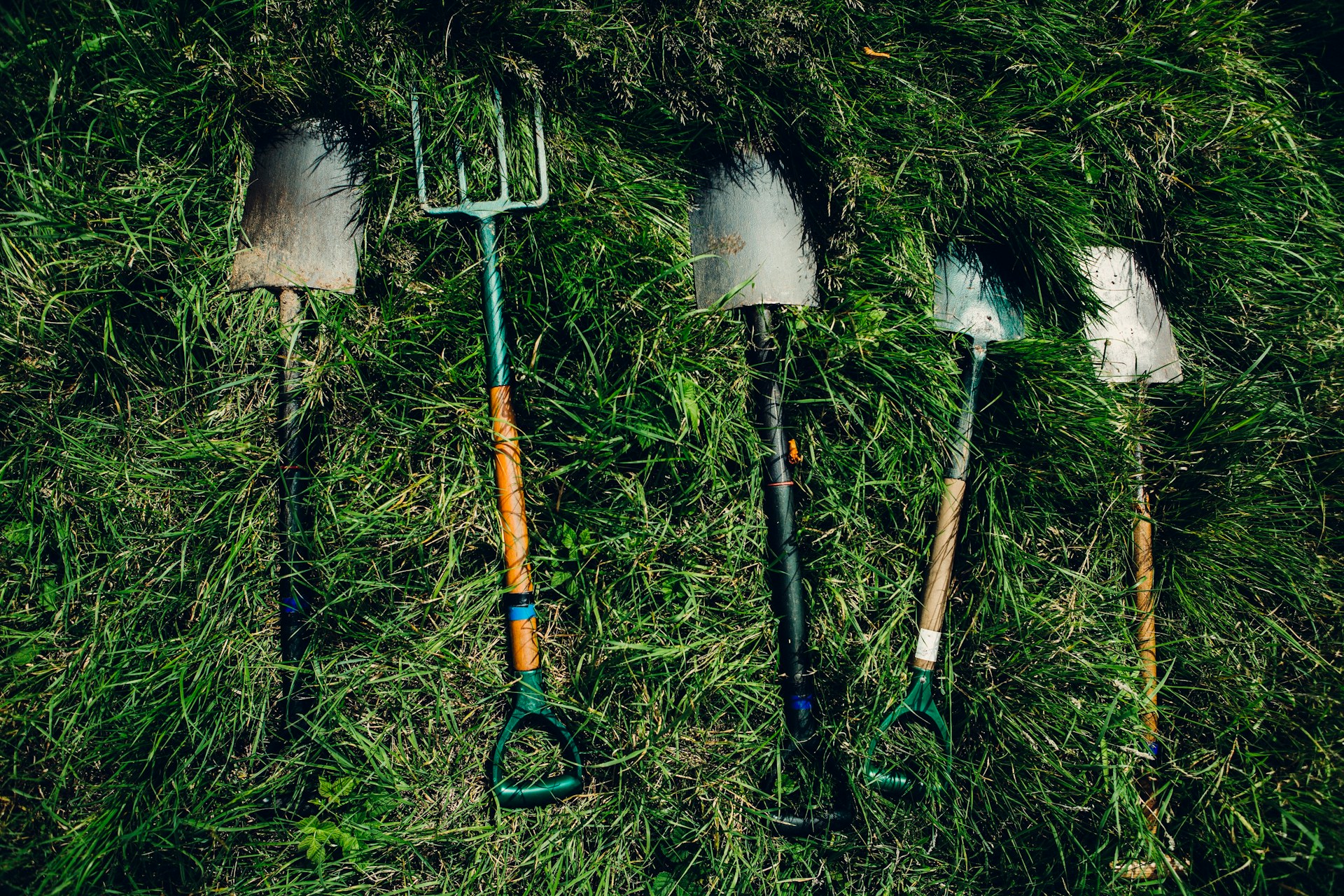 Yard Maintenance Tools That Make Outdoor Cleanup Easier