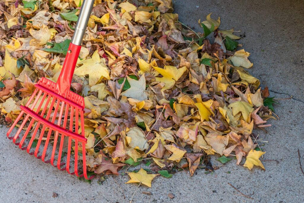 Yard Maintenance Tools That Make Outdoor Cleanup Easier 10 wendell shinn xsAj4IwTYik unsplash Yard Maintenance Tools That Make Outdoor Cleanup Easier