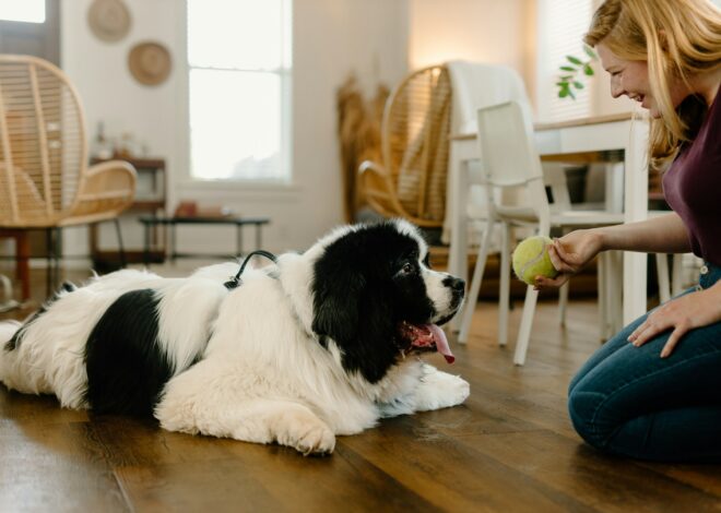 How to Keep Your Home Smelling Fresh When You Have Pets