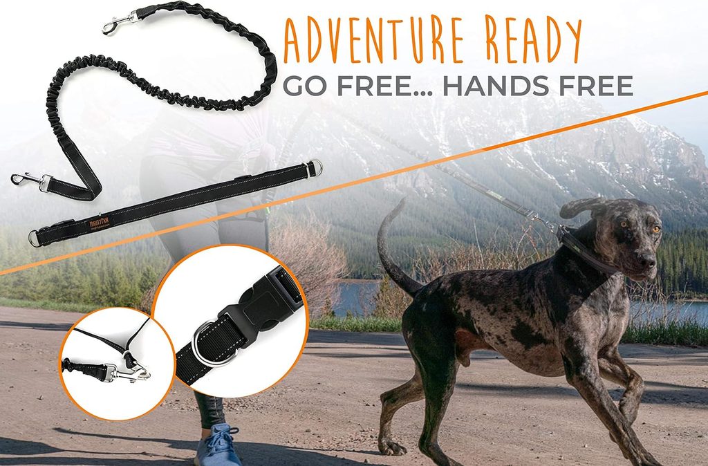 81n6YbJyLnL. AC SL1500 Best Practical Gifts for Dog Lovers