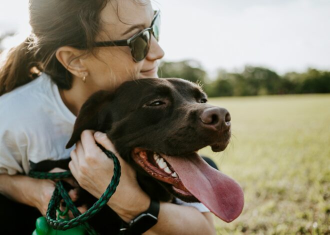 Best Practical Gifts for Dog Lovers