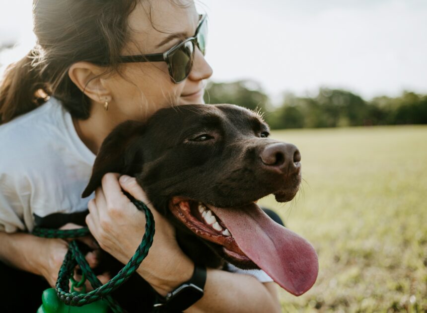 Best Practical Gifts for Dog Lovers